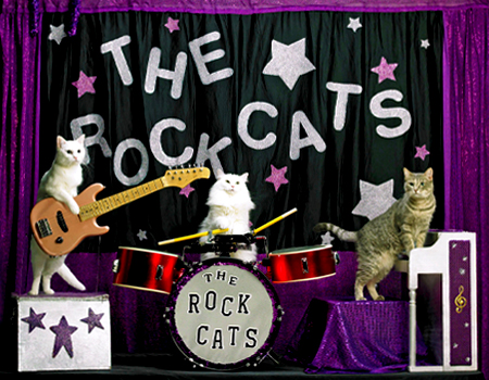 The Amazing Acro-Cats Ft. Tuna & The Rock Cats @ Lake Park Black Box
