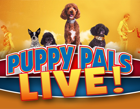 Puppy Pals LIVE @ Boca Black Box